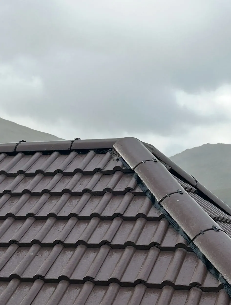 Dry ridge and hip on a brown tiled roof
