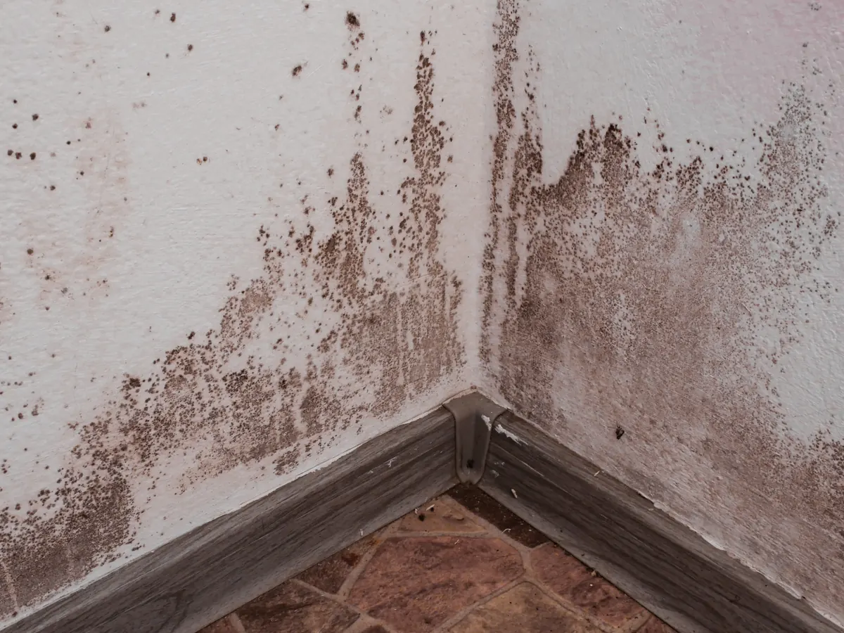 Close view of damp proofing work in progress
