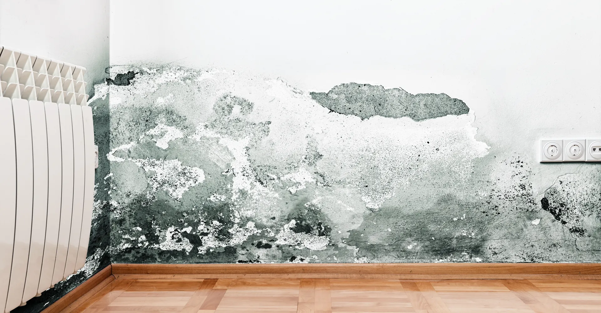 Damp Proofing by Revive Roofing & Repairs in Stirling