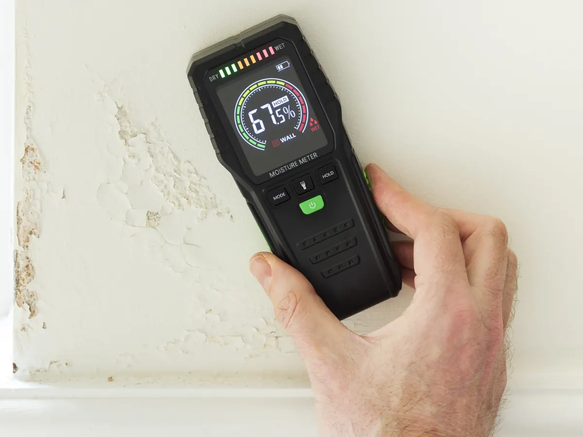 Damp Proofing on a home near Stirling