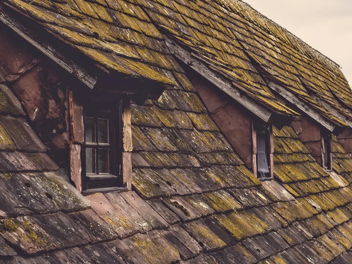 Moss Removal on a home near Stirling